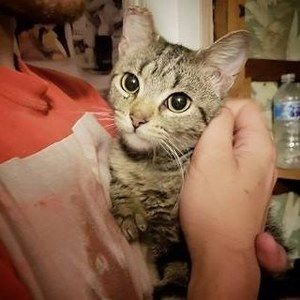 Meet your Posher, Cindy